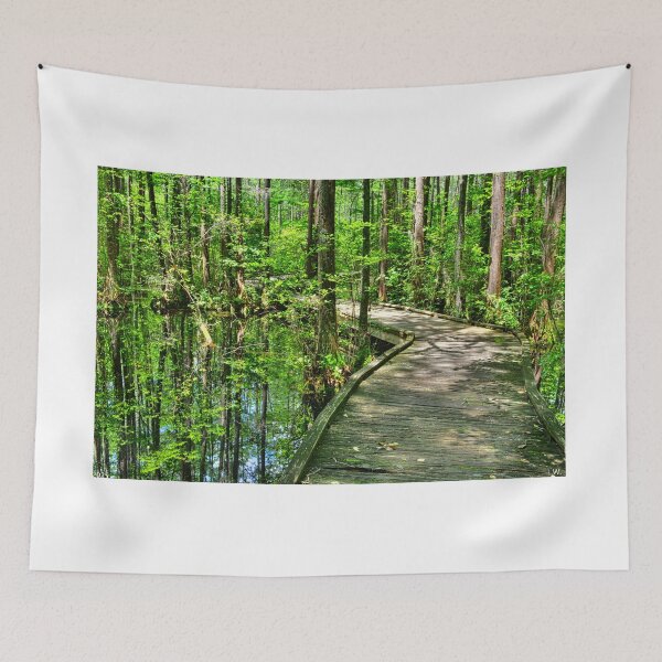 Item preview, Woods Bay State Park  SC Walkway designed and sold by LisaWootenPhoto.