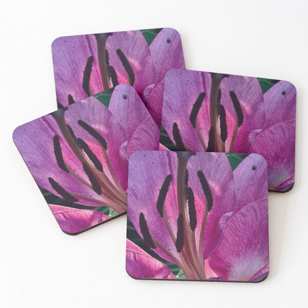 Item preview, Lilly Unleashed  designed and sold by GillHJ.