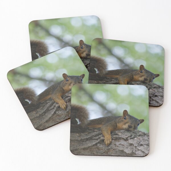 Item preview, Lazy Squirrel on Tree Branch 2 designed and sold by jclos777.