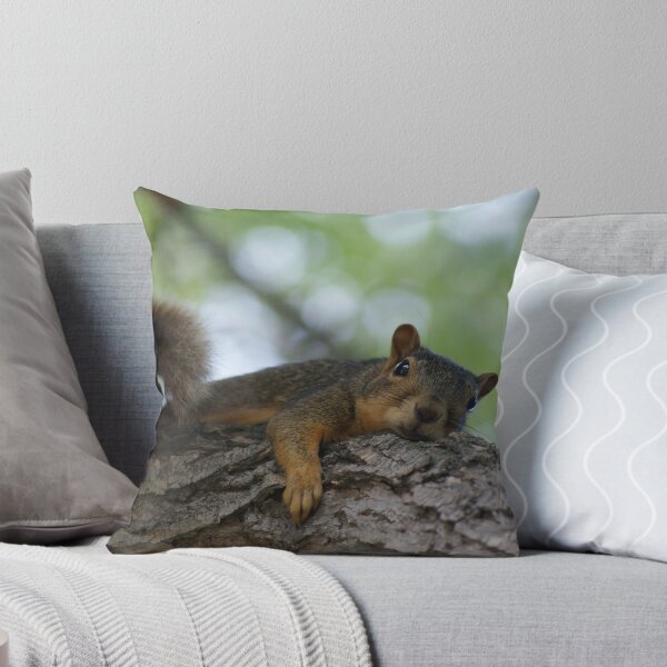 Item preview, Lazy Squirrel on Tree Branch 2 designed and sold by jclos777.