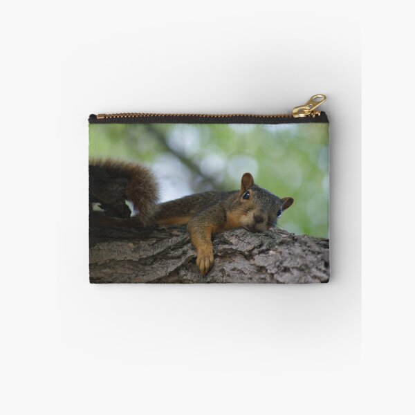 Item preview, Lazy Squirrel on Tree Branch 2 designed and sold by jclos777.