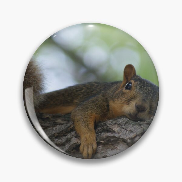 Item preview, Lazy Squirrel on Tree Branch 2 designed and sold by jclos777.