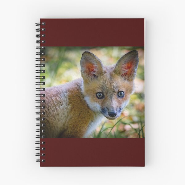 Item preview, Red Fox Kit  designed and sold by Shannon Emmel .