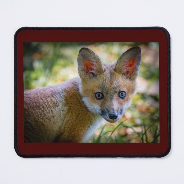 Item preview, Red Fox Kit designed and sold by Shannon Emmel .