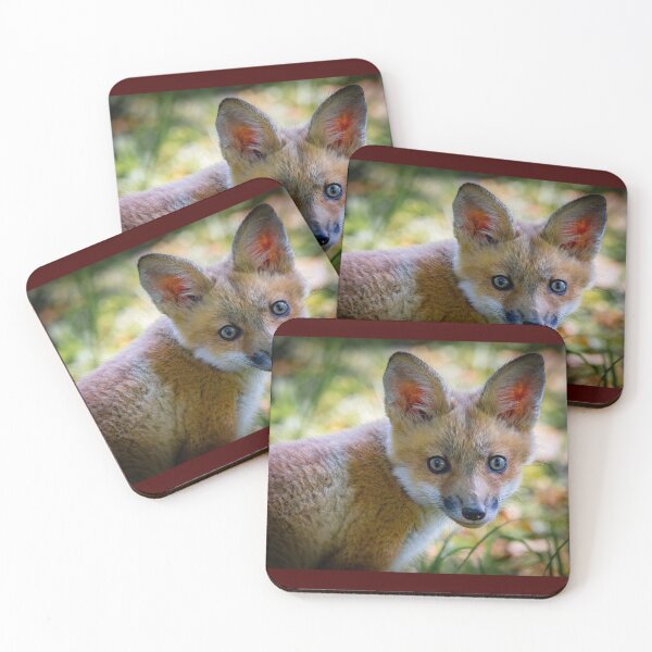 Item preview, Red Fox Kit  designed and sold by Shannon Emmel .
