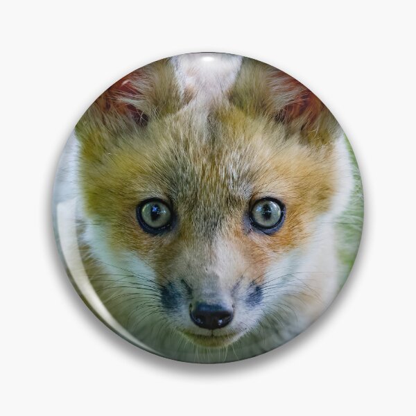 Item preview, Curious Red Fox Kit designed and sold by Shannon Emmel .