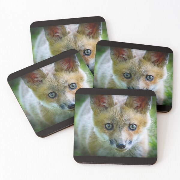 Item preview, Curious Red Fox Kit designed and sold by Shannon Emmel .
