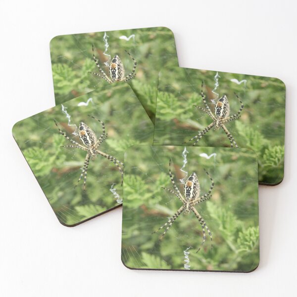Item preview, Banded Garden Spider on Web designed and sold by jclos777.