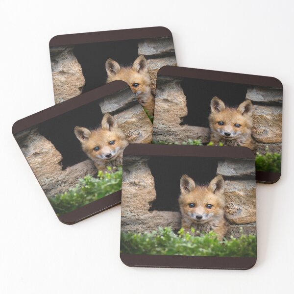 Item preview, Young Red Fox Kit Sits Outside its Den  designed and sold by Shannon Emmel .