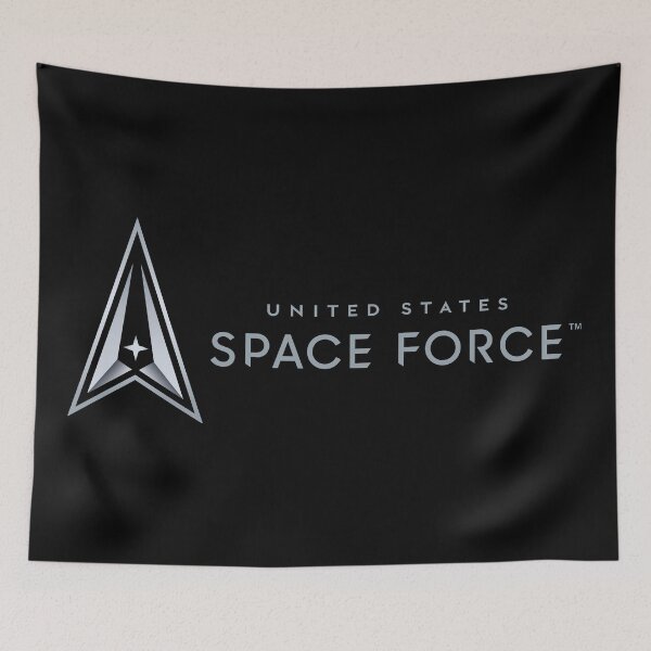 Item preview, US Space Force Logo w Txt X 300 designed and sold by Military Insignia Products.