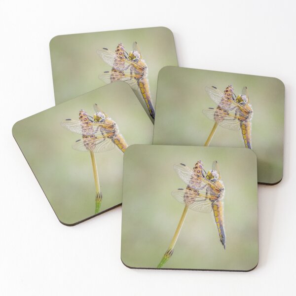 Item preview, Four Spot Chaser Dragonfly on Horsetail designed and sold by Alec Stewart.