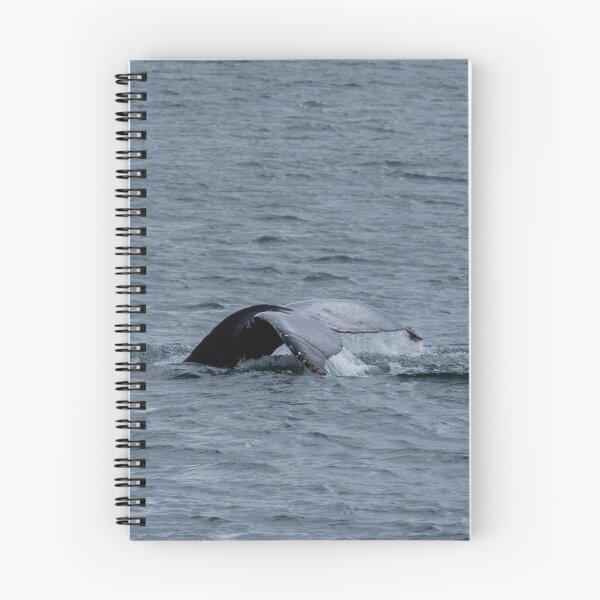 Aperçu de l'œuvre Queue de baleine créée et vendue par TinyDinoDesigns.
