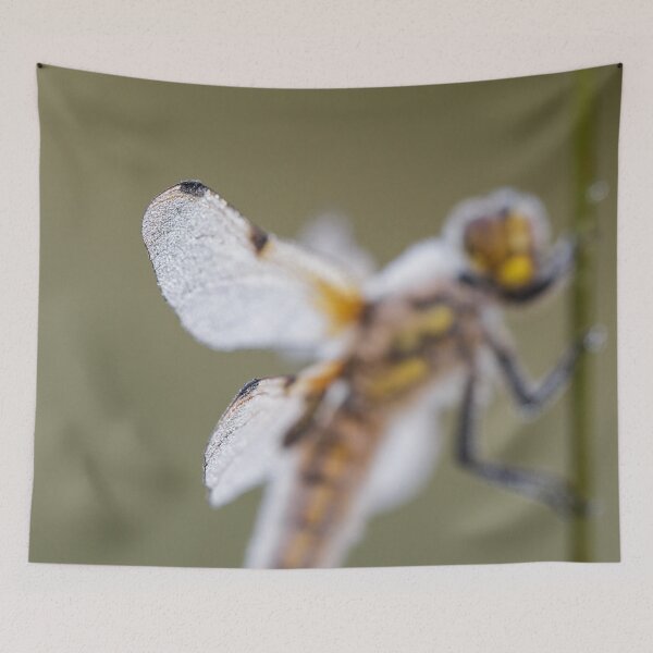 Item preview, Dragonfly Art designed and sold by Alec Stewart.