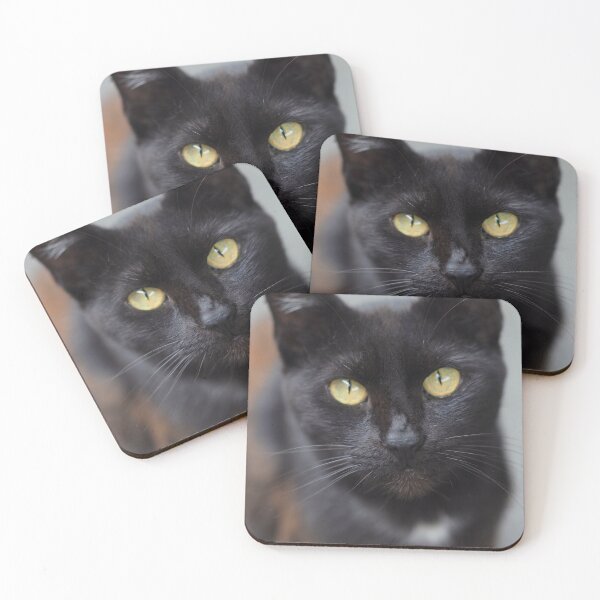 Aperçu de l'œuvre Portrait de mignon chat noir créée et vendue par olena2552.