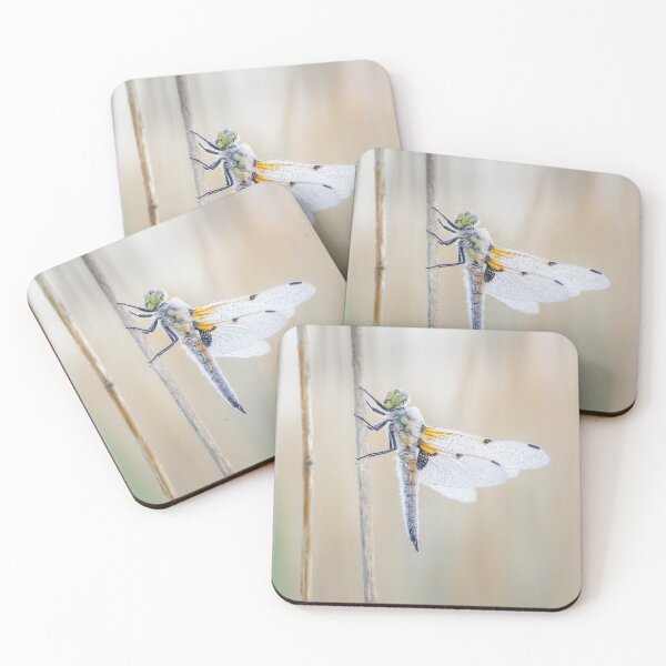 Item preview, Four Spot Chaser Dragonfly in Reeds designed and sold by Alec Stewart.