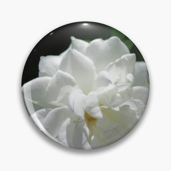 Item preview, White rose on black background designed and sold by olena2552.