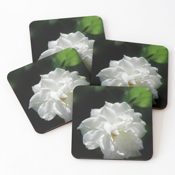 Item preview, White rose on black background designed and sold by olena2552.