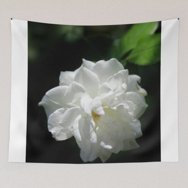 Item preview, White rose on black background designed and sold by olena2552.
