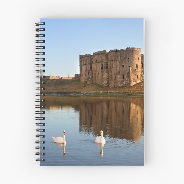 Artikelvorschau, Schwäne auf Carew Castle entworfen und verkauft von AnthonyThomas.