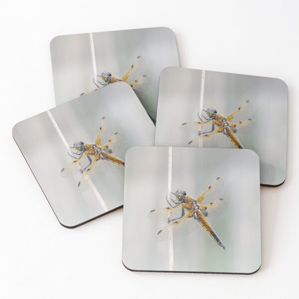 Item preview, Four Spot Chaser Dragonfly designed and sold by Alec Stewart.