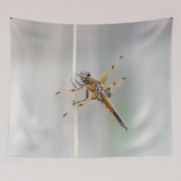 Item preview, Four Spot Chaser Dragonfly designed and sold by Alec Stewart.