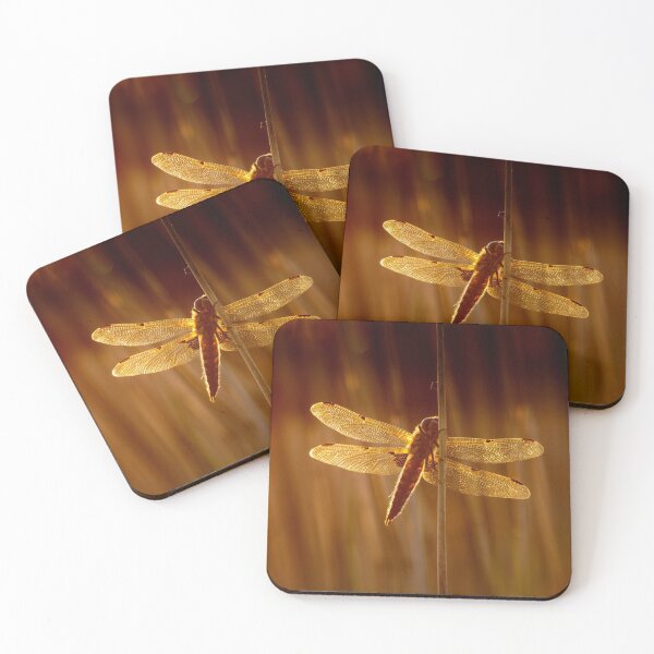Item preview, Four Spot Chaser Dragonfly At Sunset designed and sold by Alec Stewart.