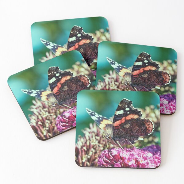Item preview, Red Admiral designed and sold by Tom McPherson Photography.