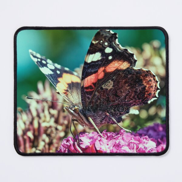 Item preview, Red Admiral designed and sold by Tom McPherson Photography.