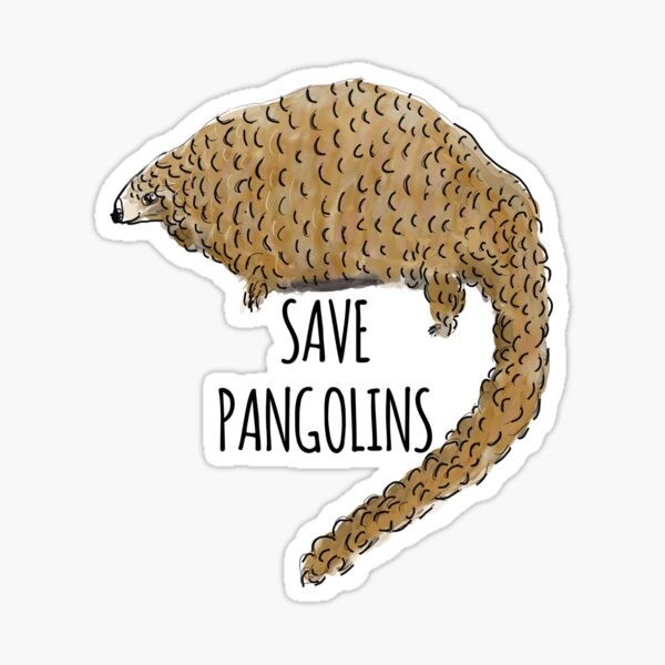 Save Pangolins: Cute Pangolin Design Sticker