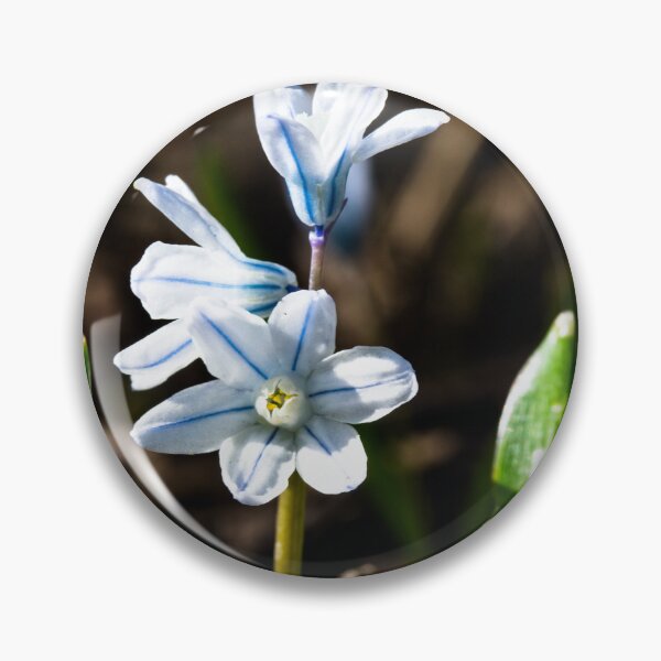 Item preview, Flowers in bloom designed and sold by CanadianWild418.