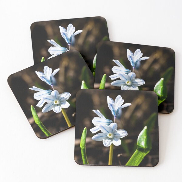 Item preview, Flowers in bloom designed and sold by CanadianWild418.