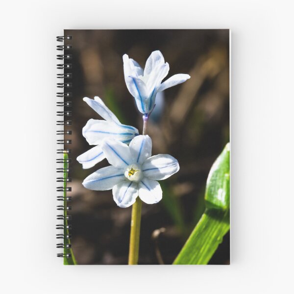Item preview, Flowers in bloom designed and sold by CanadianWild418.