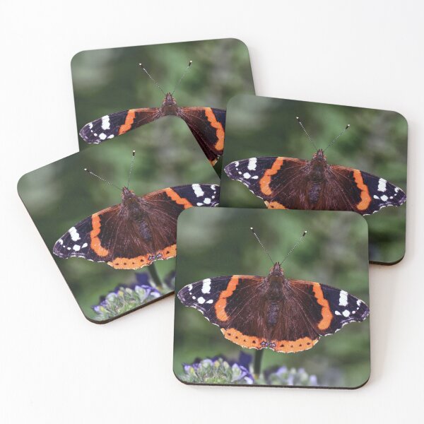Item preview, Red Admiral designed and sold by Tom McPherson Photography.