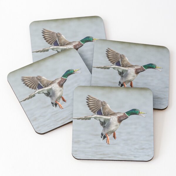 Item preview, Mallard Landing designed and sold by Alec Stewart.