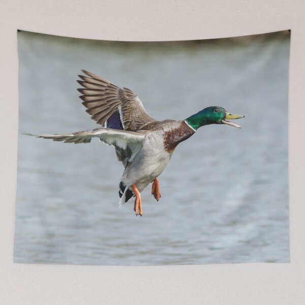 Item preview, Mallard Landing designed and sold by Alec Stewart.