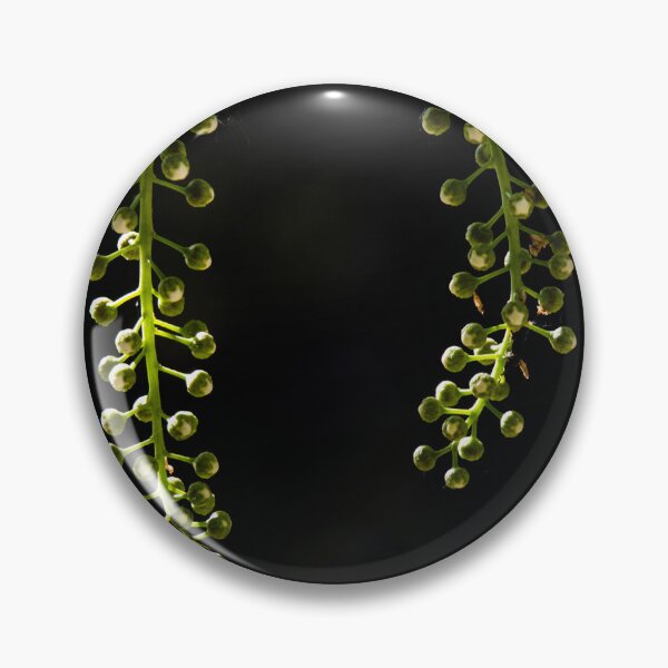 Item preview, Berry buds on a mountain ash tree designed and sold by CanadianWild418.