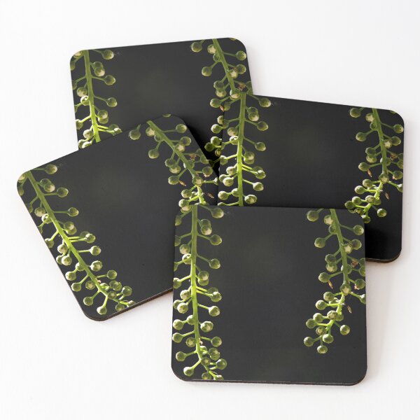 Item preview, Berry buds on a mountain ash tree designed and sold by CanadianWild418.