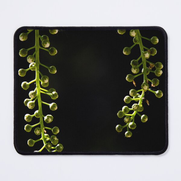 Item preview, Berry buds on a mountain ash tree designed and sold by CanadianWild418.