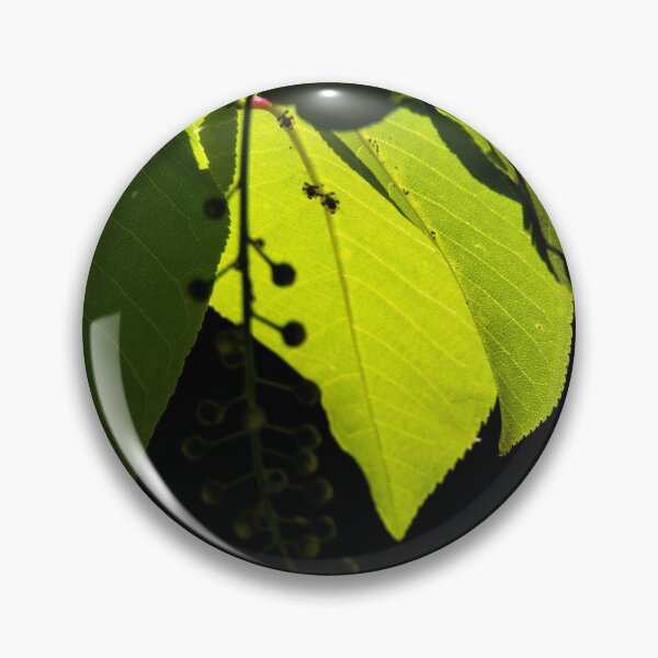 Item preview, Leaves and buds on a mountain ash tree designed and sold by CanadianWild418.