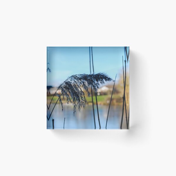 Item preview, Lakeside designed and sold by Rising Phoenix Photos.