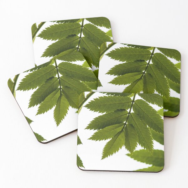 Item preview, Mountain ash leaves designed and sold by CanadianWild418.