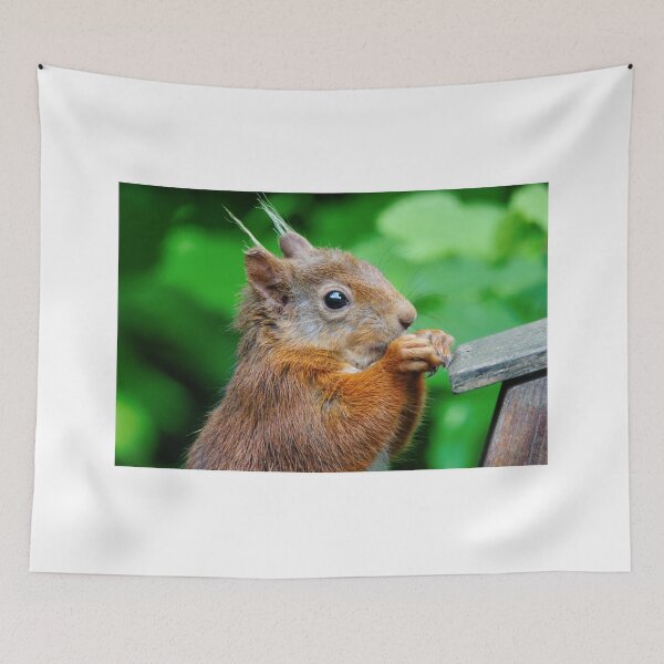 Item preview, The Red Squirrel designed and sold by AlbaPhotography.