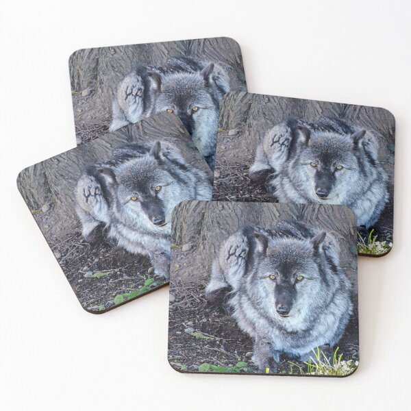 Item preview, Gray Wolf resting beneath a tree designed and sold by lisavonbiela.