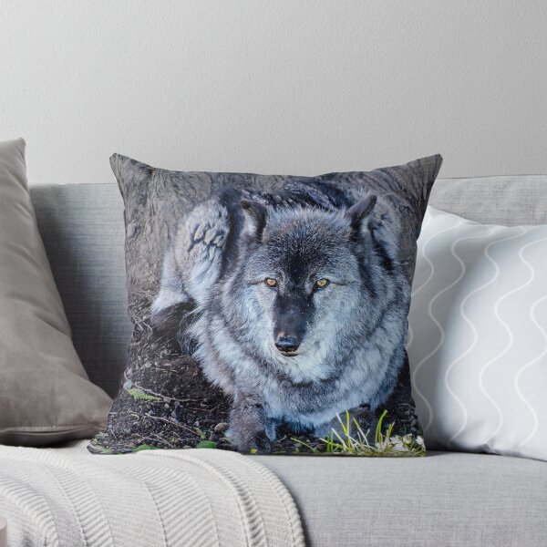 Item preview, Gray Wolf resting beneath a tree designed and sold by lisavonbiela.