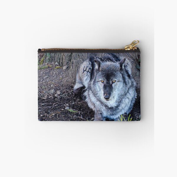 Item preview, Gray Wolf resting beneath a tree designed and sold by lisavonbiela.