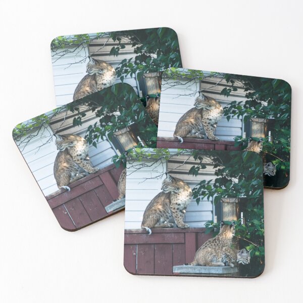 Item preview, Bobcat family designed and sold by CanadianWild418.