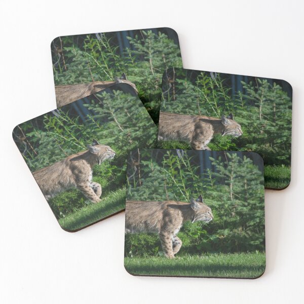 Item preview, Female bobcat designed and sold by CanadianWild418.