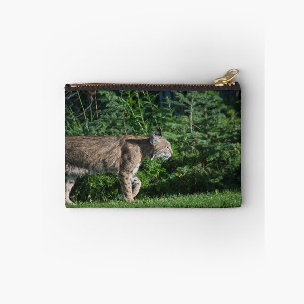 Item preview, Female bobcat designed and sold by CanadianWild418.