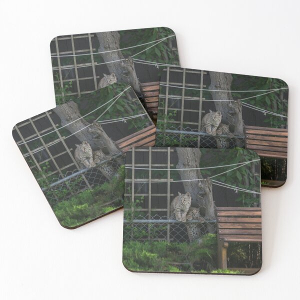 Item preview, Bobcat kittens climbing the fence designed and sold by CanadianWild418.
