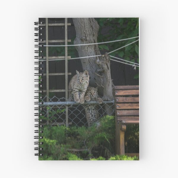 Item preview, Bobcat kittens climbing the fence designed and sold by CanadianWild418.